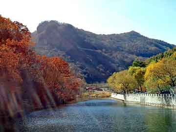 澳门天天开奖免费资料，车祸现场恐怖图片